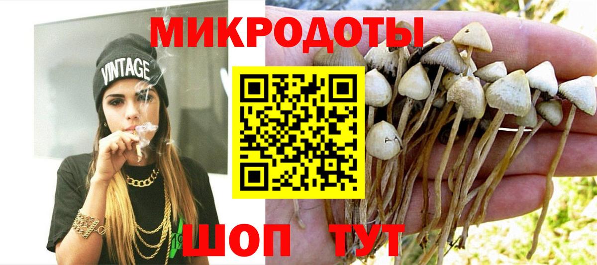 Гудермес  Галлюциногенные грибы Magic Shrooms  купить  цена  Вход с VPN 