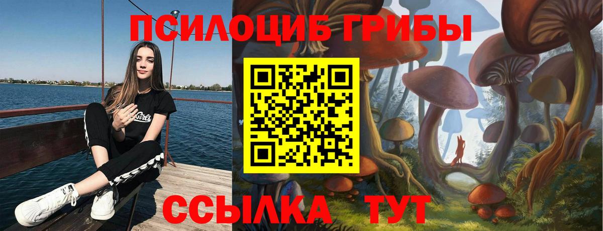 Псилоцибиновые грибы ЛСД Гудермес